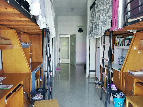 真实的大学宿舍氛围 491b3683-9ddc-4a5f-890e-329cbf432642.jpg